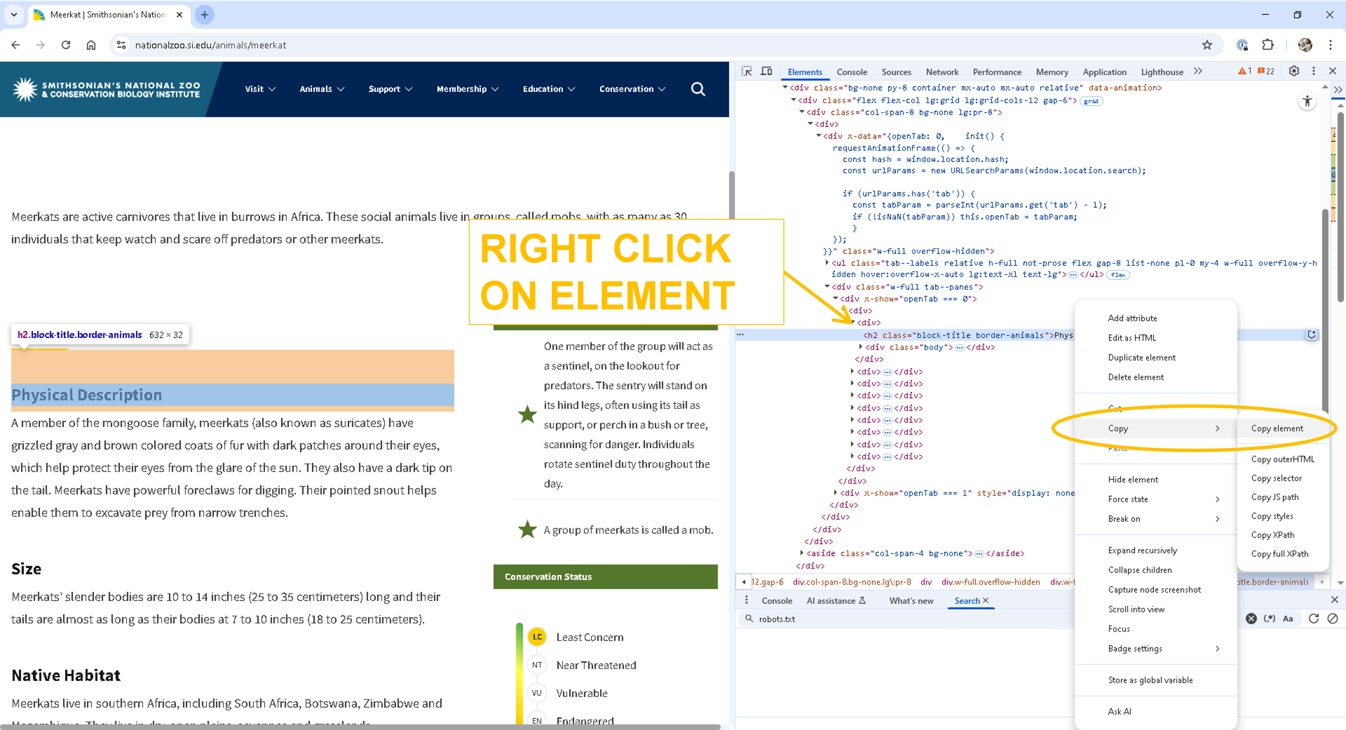 meerkat_copy_element.png