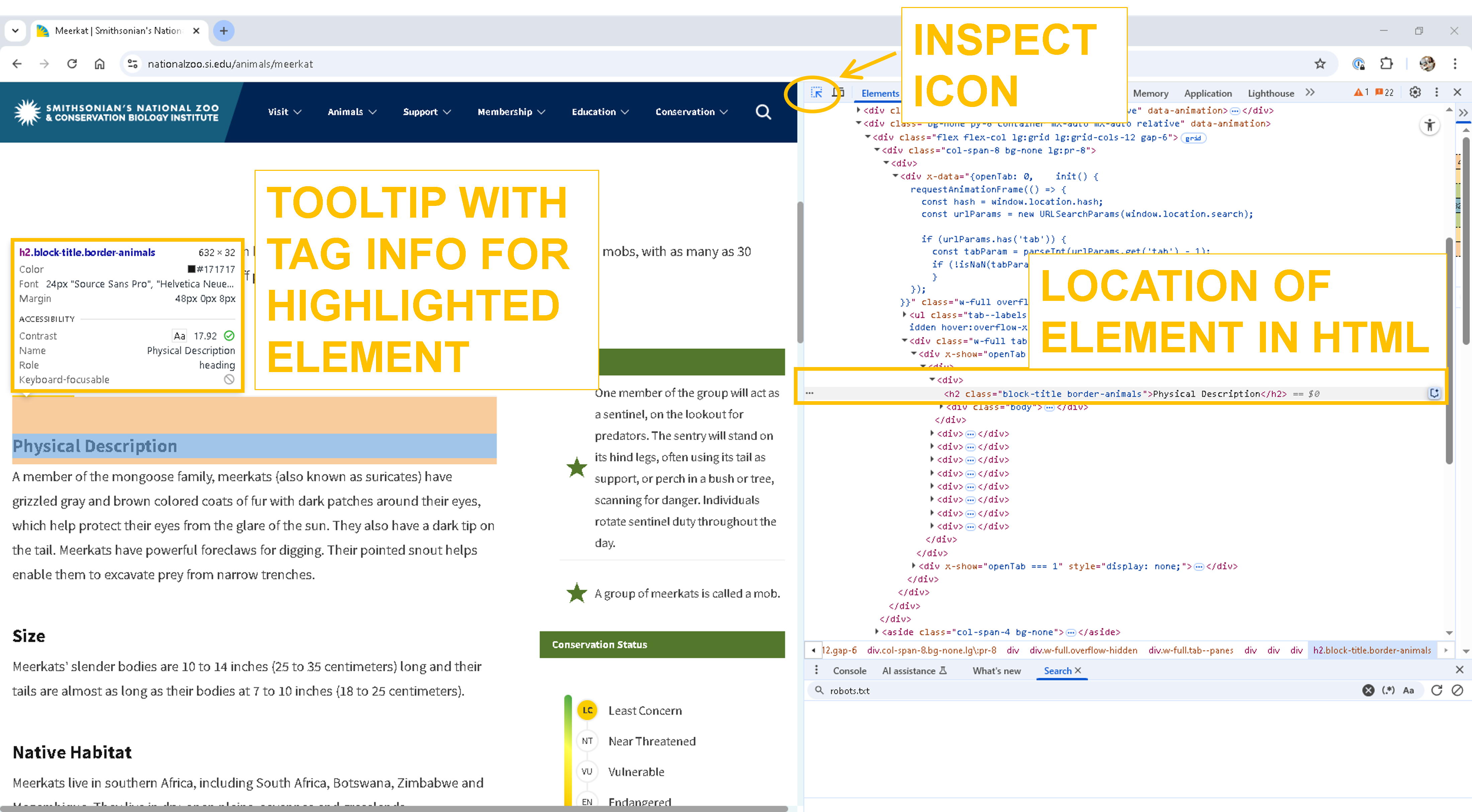 meerkat_inspect_element