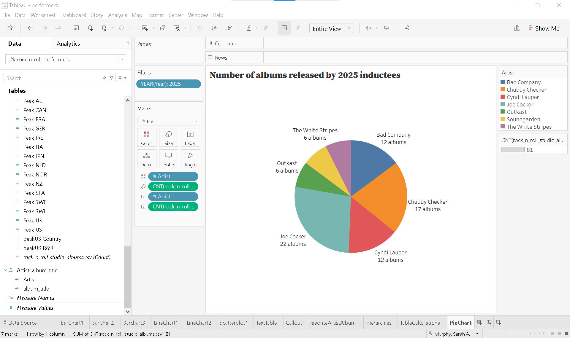 Pie chart created using steps 1-9 above