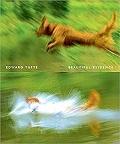 beautiful evidence book cover